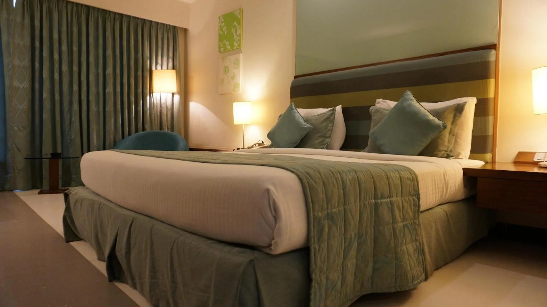 Hotel Palm Spring Plaza New Delhi India